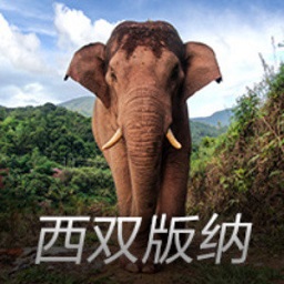 乐鱼全站app登录官网最新热门版